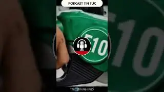 Xăng E10 c&oacute; thực sự tốt như kỳ vọng #ngườid&acirc;nn&oacute;ig&igrave; #podcasttintuc #tinn&oacute;ngviệtnam