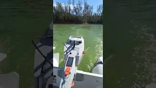 Primeras pruebas a Motor el&eacute;ctrico Torqeedo Travel 1103C