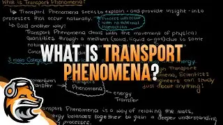 What is Transport Phenomena?