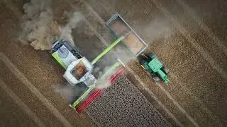 Julia Cole’s ‘A Day Late & A Buck Short’ lending excellence to the Sunk Island Harvest 2025