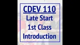 CDEV 110: Ch 3 - Ecology of the Family