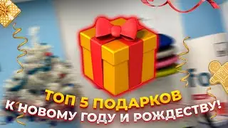 ТОП 5 ПОДАРКОВ к НОВОМУ ГОДУ и РОЖДЕСТВУ от #ergosmart_by