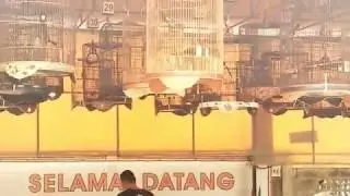 Gresik arena LATPRES GIRI BC DAN P2BG