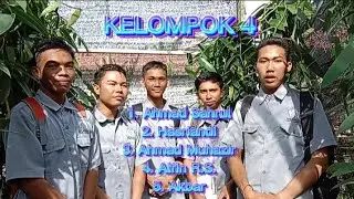 Tanaman Vanili #pptp #ppptp