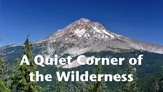 Hiking in a quiet corner of the Mt. Hood Wilderness