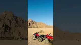 Egypt 🇪🇬 dairy&rsquo;s #egypt #panjabi #usa #usatruckers #ufc #mma