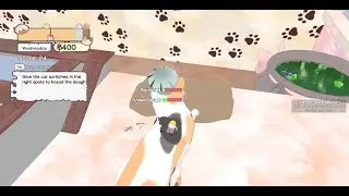 running a magical cat cafe