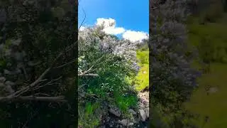 Hiking en tijuana #nature #baja #mexicancity #tijuana #hiking #bajacalifornia