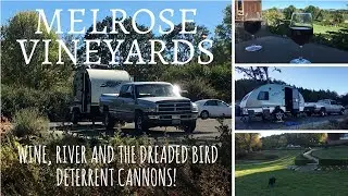 Oregon Camping Trip / Melrose Vineyards / Wine, River and the Dreaded Bird Deterrent Cannons!