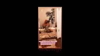 Cyn Santana Feeling Herself | All in The Mirror