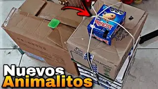 Nos DONARON muchos ANIMALES en este Evento!! 😱