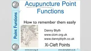 Acupuncture Point Function 3: Xi-Cleft Points