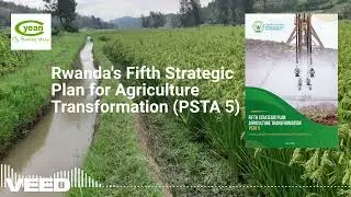 Rwanda's Fifth Strategic Plan for Agriculture Transformation (PSTA 5) Explained in Summary