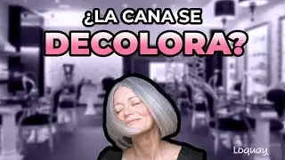 Canas rebeldes: &iquest;Cu&aacute;ndo hay que decolorar?