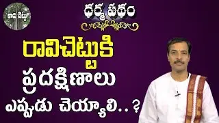 రావిచెట్టుకి ప్రదక్షిణాలు ఎప్పుడు చెయ్యాలి..? | Ravi Chettu Pradakshina | Importance Of Ravi Chettu