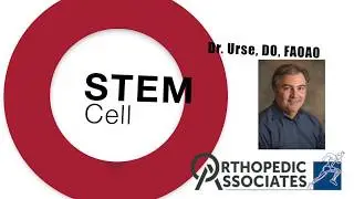 Dr. John Urse Discusses Stem Cells