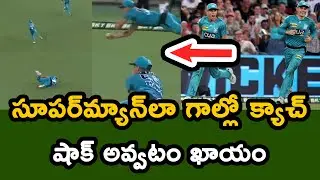 Ben Laughlin Takes Stunning Catch In Big Bash League | Telugu Buzz