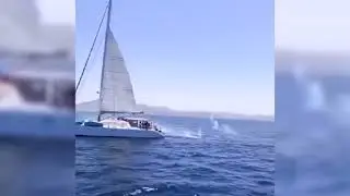 Unfassbar - Segler treffen auf Orcas &ndash; und er&ouml;ffnen das Feuer