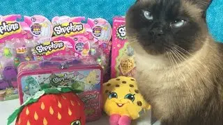 Bonus Shopkins Haul Plush Game Puzzle & More Toy Hunting Goodies