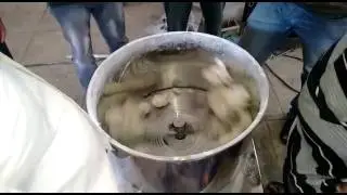 Namkeen Mixer  - Sree Valsa Engineering Company