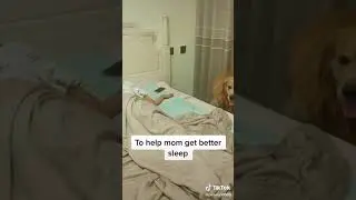 heart touching dog emotional video!!