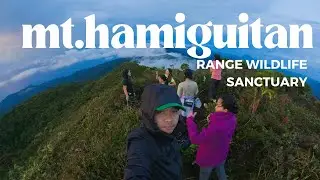 Mt Hamiguitan Range Wildlife Sanctuary
