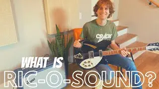 What is RIC-O-SOUND?