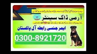 Army Dog Center|Khoji dog center|contact number phone number 