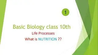 Life processes || Nutrition || Class 10th || learner's PATH