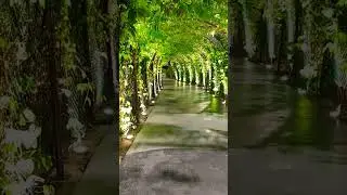 al montazah park sharjah so romantic place😍😍🥰🥰🥰🥰 #short #uae #