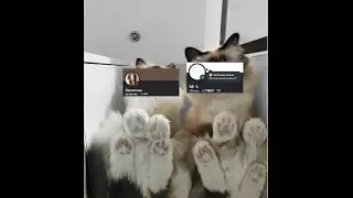 @hh3333​