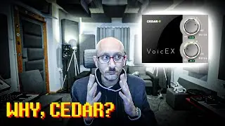 CEDAR should ask themselves: WHY? VoicEX REVIEWED!