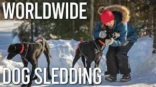 Worldwide Dog Sledding in Minnesota // Winter Bucket List Adventures