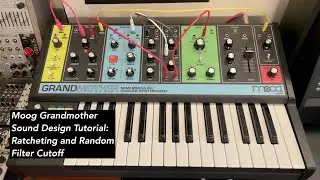 Moog Grandmother sound design tutorial: Lisa Bella Donna Patch book 2: ratcheting and random filter