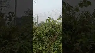 #fire #fireworks #food #lifeisbutadream #foodchannel #dhaka #travel #foodvideo #automobile
