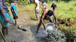 West Bengal Fishing Video 🐟 Deshi Fish Caching Video 🐟 Fishing Technique in Village