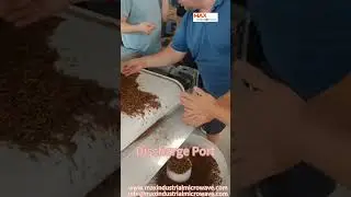 Feed/Edible Insects Microwave Drying and Sterilization Machine  www.maxindustrialmicrowave.com