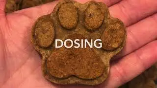 Grain Free Cannabis Infused Dog Treats