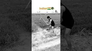 love Border 2 movie🇮🇳🪖 #song #gadar2 #music #movie #army #1600mtrruning #1600metertimetriel