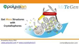 Mitegen Polyvalan Crystallophore Meeting