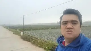 mùa lạnh buổi sáng 