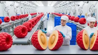 Inside the Factory: How Raspberry Powder Is Made From Fresh Berries (Full Process)**