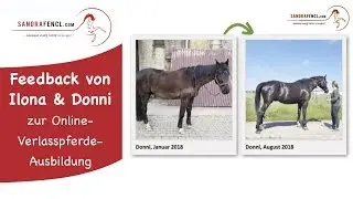 Ganzheitliches Pferdewissen:  Ilona Wagner &uuml;ber die Online Ausbildung bei Sandra Fencl