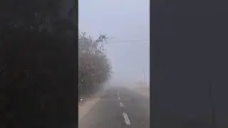 Watch this before visiting Jaipur in winter | 2023 | #shorts #fog #rajasthan #jaipur