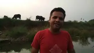 Nature's Alchemy.. Let's connect
