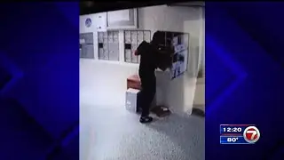 Surveillance video captures man stealing mail from Miami Beach apartment complex