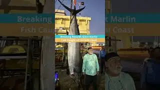 Pakistan Boat Rally, caught a massive 190-kg Marlin off Karachi's coast and breaks the record.
