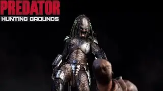 Stream! Predator Hunting Grounds | Let's kill predators 26 11 2024