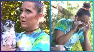 One of the Best Dog Moms: Jenna Marbles and Her 4 Dogs Compilation
