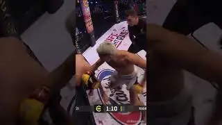Francesco Nuzzi - TKO (Left Hand + Follow-up Shots)